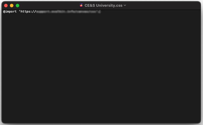  A CSS file editor is open showing a dark code window with a single @import line at the top containing a URL.