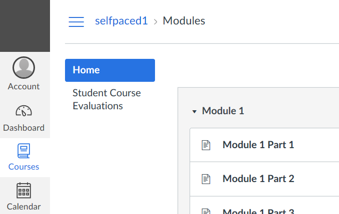 The Canvas course Modules page showing the course navigation sidebar on the left and an expanded 'Module 1' section on the right with multiple module items listed.
